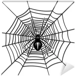 Spideron Web Graphic PNG Image