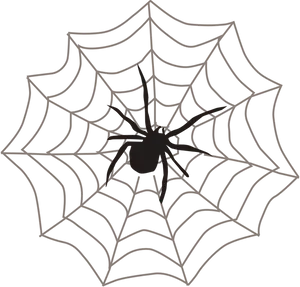 Spideron Web Silhouette PNG Image