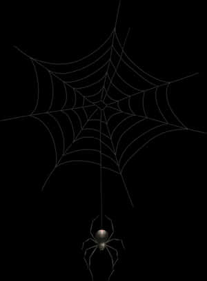 Spideron Webin Darkness PNG with transparent background