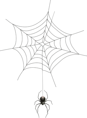 Spideron Webin Darkness PNG Image