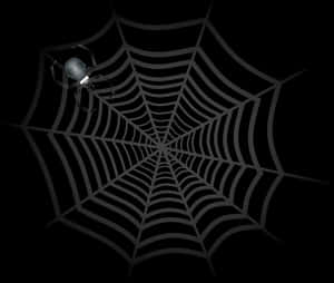 Spideron Webin Darkness PNG image with transparent background