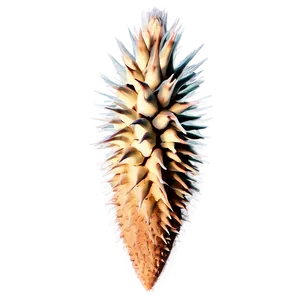 Spikes In Nature Photography Png 4 PNG Image