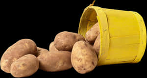 Spilled Potatoes Yellow Bucket PNG image with transparent background