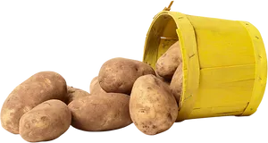 Spilled Potatoes Yellow Bucket PNG Image