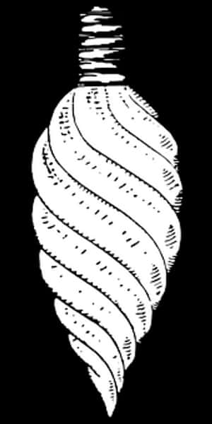 Spinning Tornado Illusion PNG image with transparent background