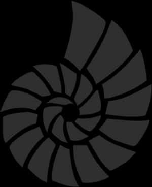 Spiral Shell Graphic Black Background PNG image with transparent background
