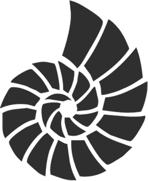 Spiral Shell Graphic PNG image with transparent background