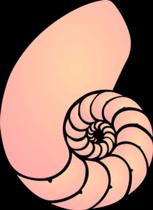 Spiral Shell Illustration PNG image with transparent background