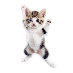 Spirited Kitten Leap Png 06242024 PNG Image