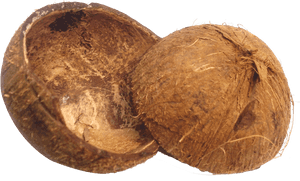 Coconut Husk Png, Transparent Png PNG with transparent background
