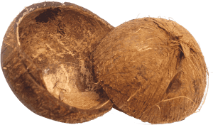 Free Png Coconut Shell Png Images Transparent - Coconut Husk Png, Png Download PNG image with transparent background