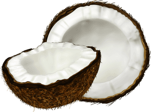 Coconut Transparent Background, HD Png Download PNG with transparent background