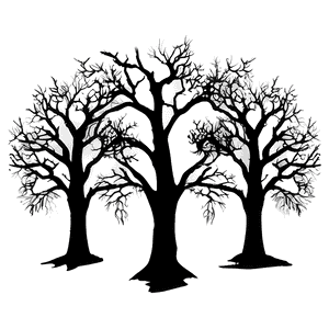 Spooky Oak Silhouette PNG 7 PNG with transparent background