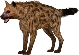 Spotted Hyena Standing Transparent Background PNG Image