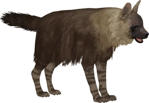 Spotted Hyena Standing Transparent Background PNG Image