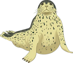 Spotted Seal Illustration PNG Image