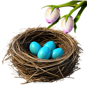 Spring Bird Nest PNG 06212024 PNG