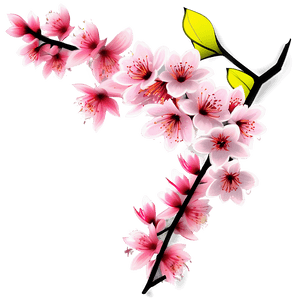 Spring Cherry Blossom Scene PNG 05032024 PNG image with transparent background