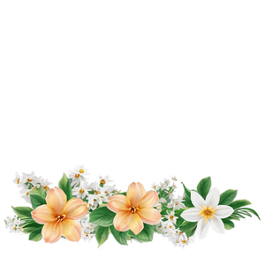 Spring Flower Border PNG 97 PNG
