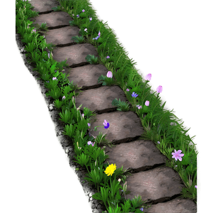 Spring Flower Path PNG 06202024 PNG with transparent background