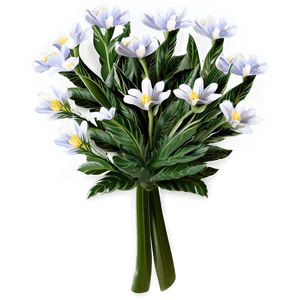 Spring Flower Transparent Clipart PNG 05252024 PNG
