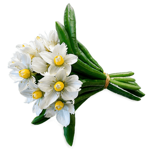 Spring Flowers Bouquet PNG 77 PNG image with transparent background