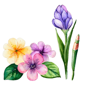 Spring Flowers Watercolor Set PNG 05252024 PNG image with transparent background
