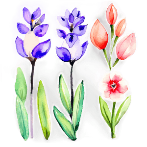 Spring Flowers Watercolor Set PNG 32 PNG image with transparent background