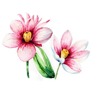 Spring Flowers Watercolor Set PNG efi33 PNG image with transparent background