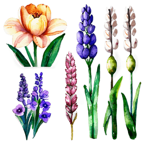 Spring Flowers Watercolor Set PNG fgn72 PNG image with transparent background