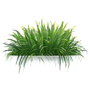 Spring Grass Clipart Png 06272024 PNG Image