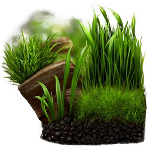 Spring Green Grass Png 06262024 PNG Image