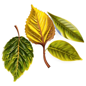 Spring Leaves PNG ose49 PNG image with transparent background