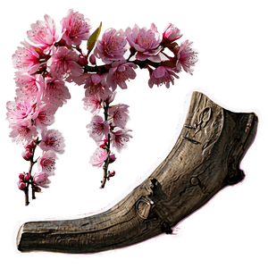 Spring Sakura PNG 06202024 PNG