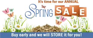 Spring Sale Announcement Banner PNG Image