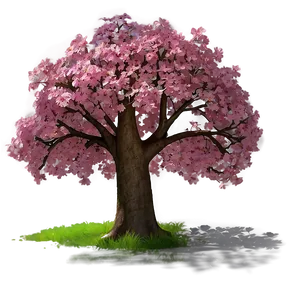 Spring Tree Shadow Png Dsk PNG Image