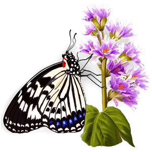 Springtime Butterfly PNG bvu12 PNG image with transparent background