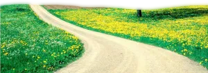 Springtime Country Road Floral Bloom PNG Image