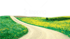Springtime Country Road Floral Landscape PNG with transparent background