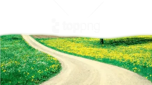 Springtime Country Road Floral Landscape PNG Image