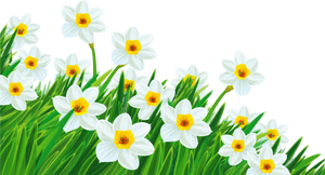 Spring Grass With Flowers Png Transparent Background - Transparent Background Spring Flowers Clipart, Png Download PNG with transparent background