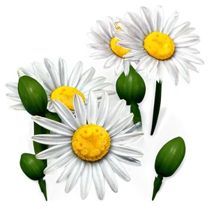 Springtime Daisy Flower Png 53 PNG Image