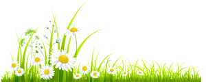 Spring Meadow PNG Pic PNG image with transparent background
