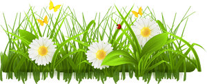 Meadow PNG Clipart PNG image with transparent background