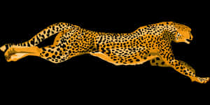 Sprinting Cheetah Illustration PNG image with transparent background
