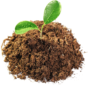 Leaves In Mud Png Image - Soil Png, Transparent Png PNG with transparent background