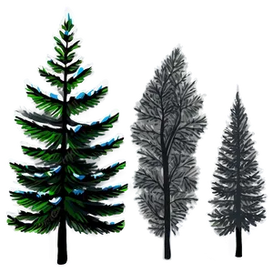 Spruce Tree Forest Landscape Png Uun PNG Image