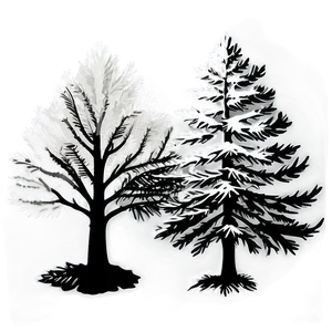 Spruce Tree Silhouette Png Etg70 PNG Image