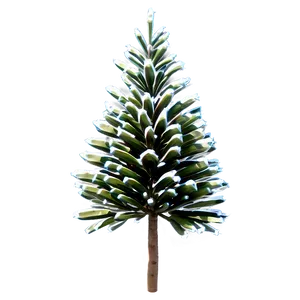 Spruce Tree With Cones Png Nik PNG Image