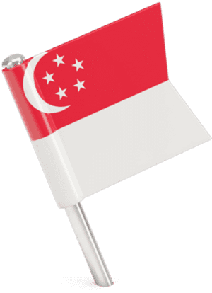 Square Flag Pin - Singapore Flag Cartoon Png, Transparent Png PNG image with transparent background